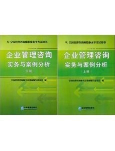 【批發(fā) 2013年全國管理咨詢師職業(yè)水平考試教材 一套2本】價(jià)格,廠家,圖片,大眾圖書,梅州市博望圖書-
